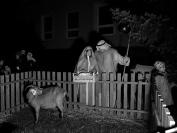 Rozsvícení vánočního stromečku